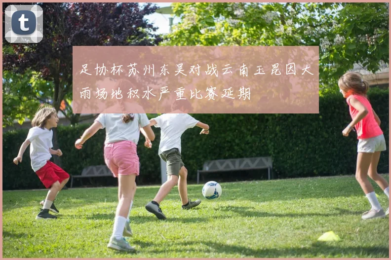 足协杯苏州东吴对战云南玉昆因大雨场地积水严重比赛延期