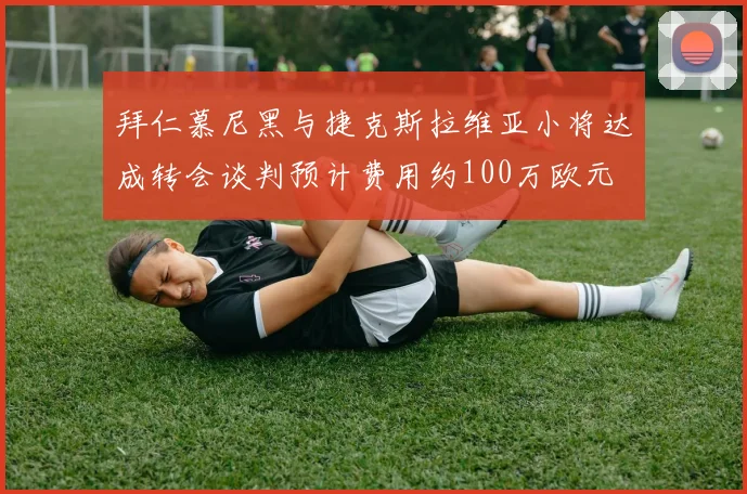 拜仁慕尼黑与捷克斯拉维亚小将达成转会谈判预计费用约100万欧元